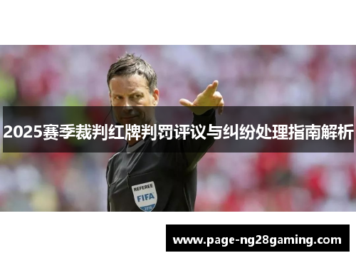 2025赛季裁判红牌判罚评议与纠纷处理指南解析