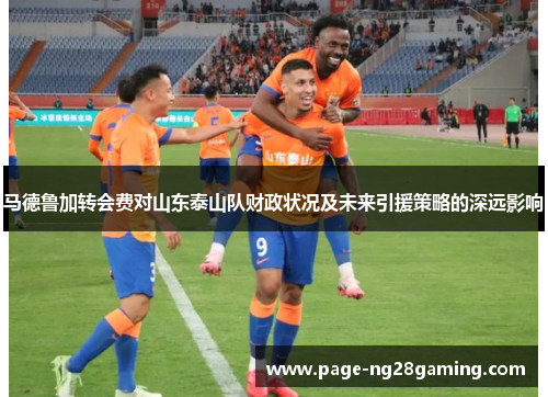 马德鲁加转会费对山东泰山队财政状况及未来引援策略的深远影响 马德鲁加转会费对山东泰山队财政状况及未来引援策略的深远影响