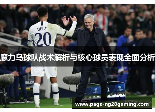 魔力鸟球队战术解析与核心球员表现全面分析 魔力鸟球队战术解析与核心球员表现全面分析