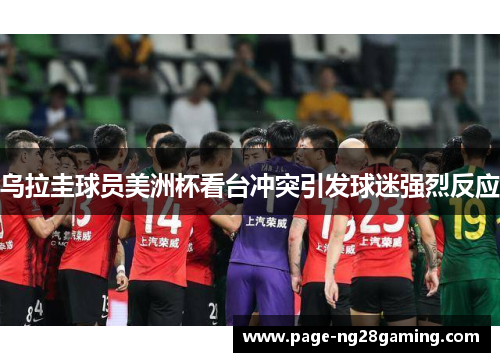 乌拉圭球员美洲杯看台冲突引发球迷强烈反应 乌拉圭球员美洲杯看台冲突引发球迷强烈反应