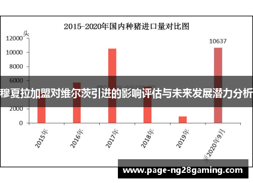 穆夏拉加盟对维尔茨引进的影响评估与未来发展潜力分析 穆夏拉加盟对维尔茨引进的影响评估与未来发展潜力分析
