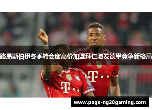 路易斯伯伊冬季转会窗高价加盟拜仁激发德甲竞争新格局