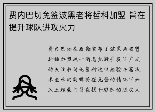 费内巴切免签波黑老将哲科加盟 旨在提升球队进攻火力 费内巴切免签波黑老将哲科加盟 旨在提升球队进攻火力
